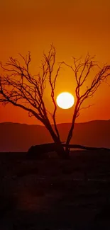 A lone tree silhouette at sunset with a vibrant orange desert sky.