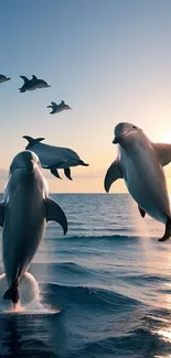 Dolphins leaping over the ocean at sunset.