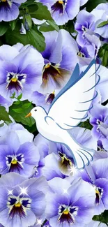 White dove among purple pansy flowers, creating a serene and peaceful mobile wallpaper.