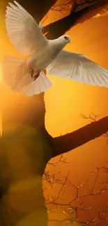 White dove flying in an orange sunset with tree silhouette.