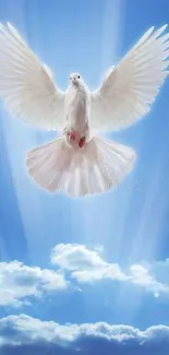 White dove soaring in a blue sky with radiant sunlight and clouds.