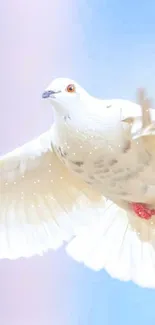 Graceful white dove flying in a pastel sky background.