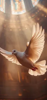 A dove illuminated by sunbeams in a church, symbolizing peace and spirituality.