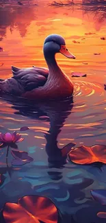 Duck swimming in a sunset-lit lake with lilies.