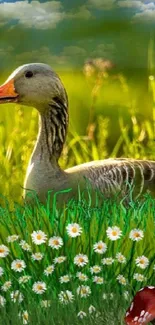 A serene duck in a vibrant spring meadow with daisies and green grass.