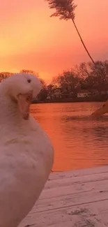 Ducks by a serene sunset lake, warm hues.