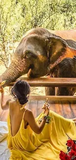 Woman in a yellow dress sitting by a window with an elephant outside.