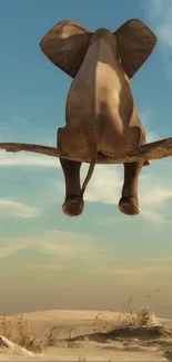 Elephant peacefully perched on a tree in a desert landscape under a blue sky.