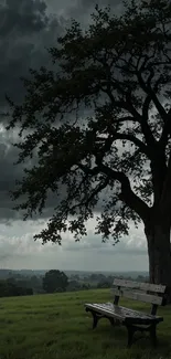 Stormy evening park with tree and bench.