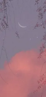 Crescent moon and pink clouds under delicate branches in evening sky.