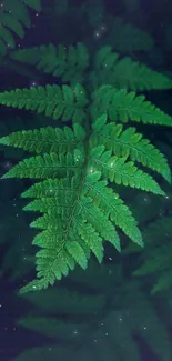 Mobile wallpaper of vivid green fern leaves against a dark backdrop.