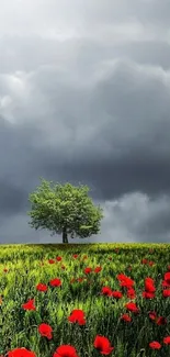 Green field with red poppies and a lone tree under a grey sky.