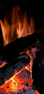 Burning fire logs with orange flames creating warmth.