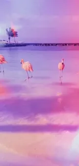 Flamingos wading on a pink beach during sunset.