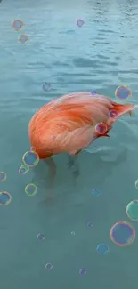 Flamingo in water with colorful bubbles creating a serene visual effect.