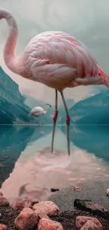 Flamingo stands by serene lake with reflections.