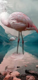 Pink flamingo reflected in a tranquil mountain lake.