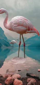 Flamingos standing in a serene mountain lake view.