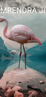 Flamingo standing in lake with mountains in background.