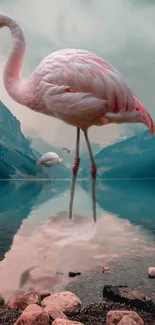 Serene pink flamingo standing in a tranquil lakeside setting.