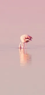 Serene pastel sunset with a lone flamingo on water.