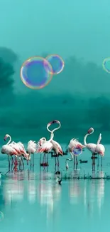 Flamingos standing in misty blue waters, creating a serene nature scene.