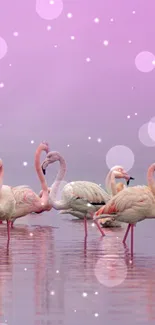 Flamingos stand gracefully in a pink misty lake, exuding calmness and beauty.