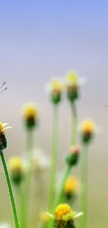 Mobile wallpaper with yellow flowers and butterflies against a blue sky.