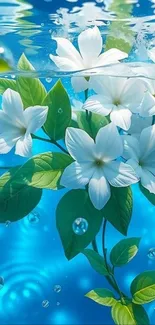 White flowers floating underwater with leaves in a serene blue setting.
