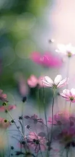 Dreamy wallpaper with pink flowers and soft bokeh effect.