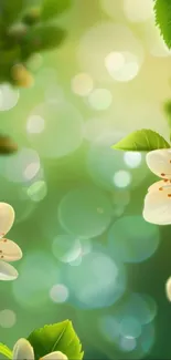 Floral wallpaper with green bokeh and blossoms.