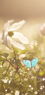 Blue butterfly on grass with white flower and sunlight bokeh.