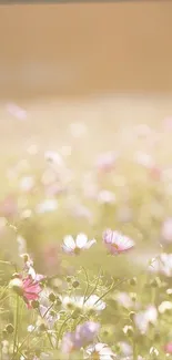 Soft focus pink wildflowers in a sunlit field wallpaper.