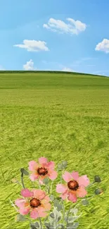 Colorful flowers under a blue sky in a peaceful field.