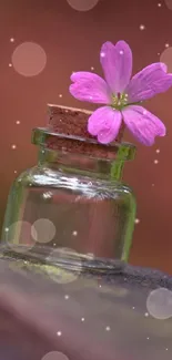 A pink flower in a glass jar on a serene background.