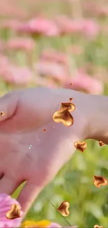 Hand gently touching pink flowers with golden hearts in vibrant field.