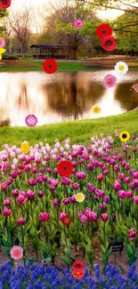 Vibrant tulip field by a peaceful lake.