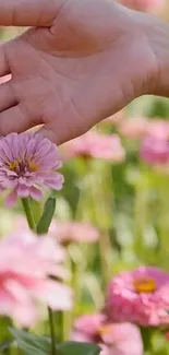 Hand touching pink flowers in a serene garden setting.