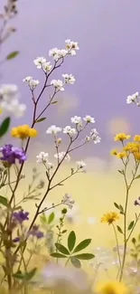 Delicate wildflowers against a pastel background on mobile wallpaper.