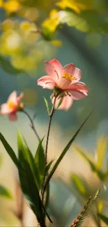 Close-up of a pink flower with green leaves and a blurred nature background.