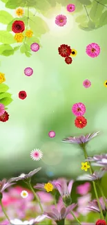 Floral wallpaper with green leaves and pink flowers under sunlight.