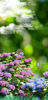 Colorful hydrangeas with butterflies and clouds in a green landscape mood.