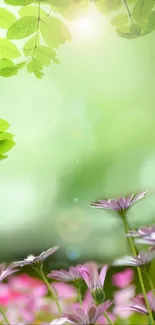 Serene floral wallpaper with green leaves and pink flowers.