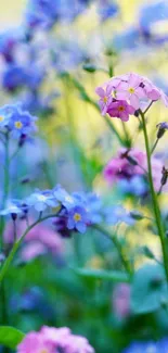 Vibrant wildflowers with blue and pink hues create a serene phone wallpaper.