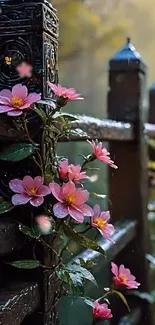 Pink flowers on a wooden fence in the rain.
