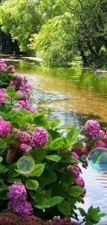 Lush pink flowers and a serene river in nature wallpaper.