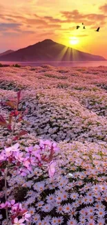 Scenic view with flowers, sunset, and mountain.