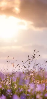 A serene sunset over a meadow with purple flowers and a golden sky.