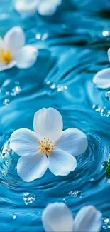 White flowers on rippling blue water background.