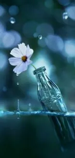 A serene flower in a glass bottle floating on water with a bokeh background.